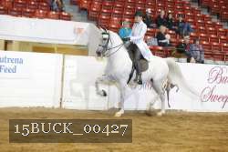 15BUCK_00427 proof
