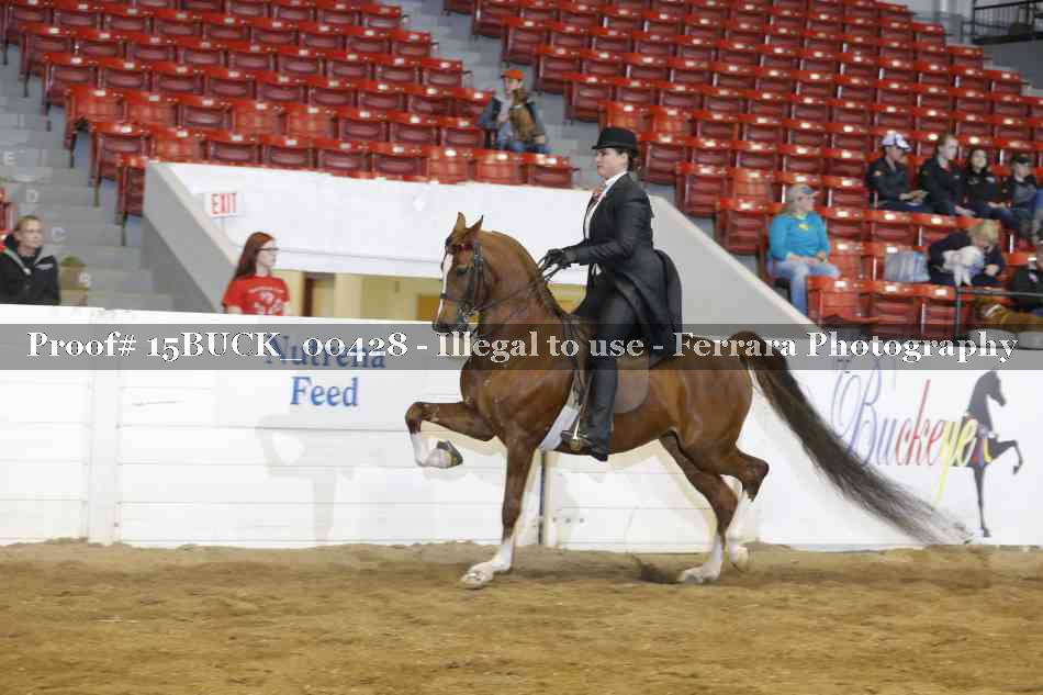 Proof 15BUCK_00428