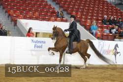 15BUCK_00428 proof