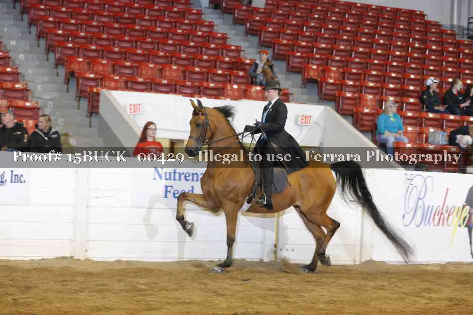Proof 15BUCK_00429