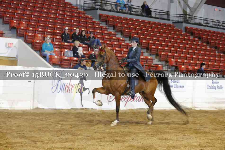 Proof 15BUCK_00430