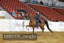 15BUCK_00430 proof