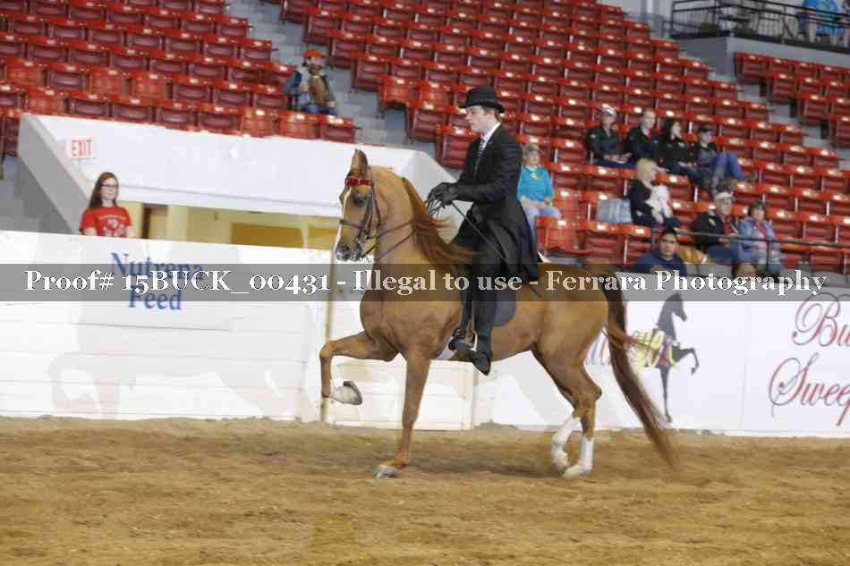 Proof 15BUCK_00431