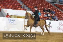 15BUCK_00431 proof