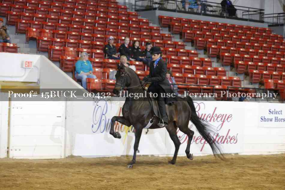 Proof 15BUCK_00432