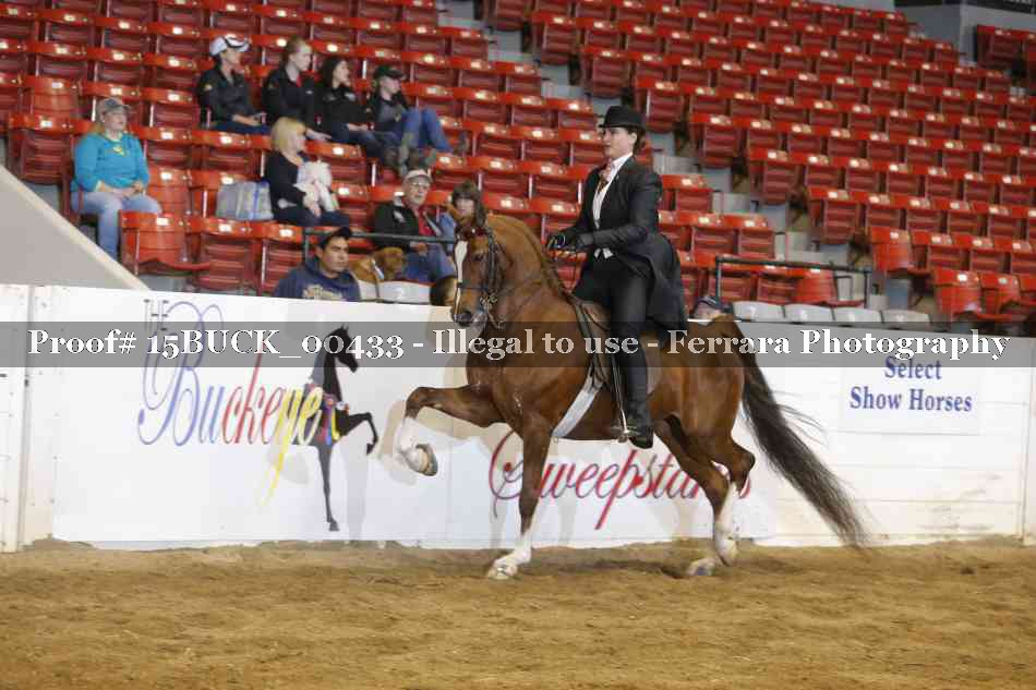 Proof 15BUCK_00433