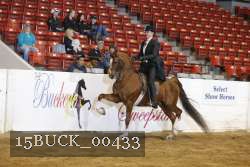 15BUCK_00433 proof