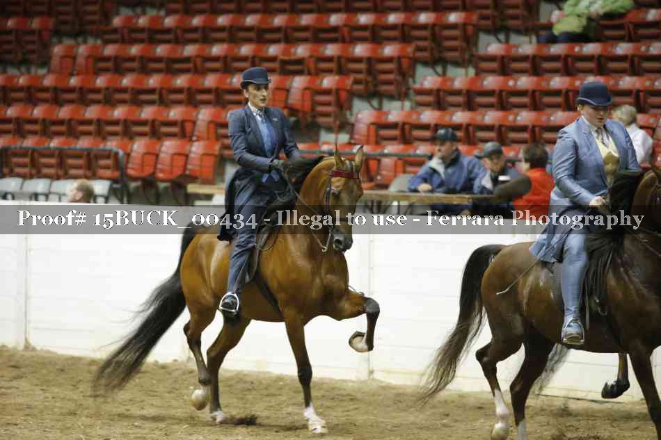 Proof 15BUCK_00434