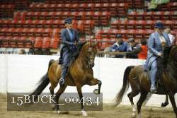 15BUCK_00434 proof