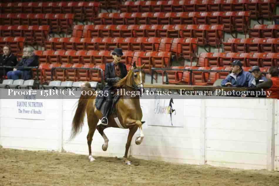 Proof 15BUCK_00435