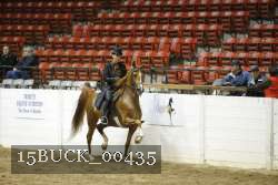 15BUCK_00435 proof