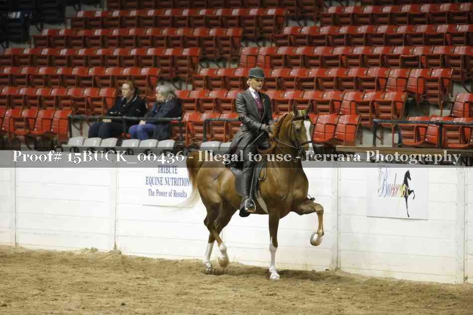 Proof 15BUCK_00436