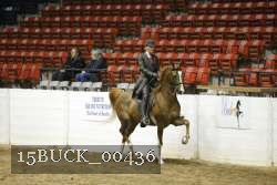 15BUCK_00436 proof