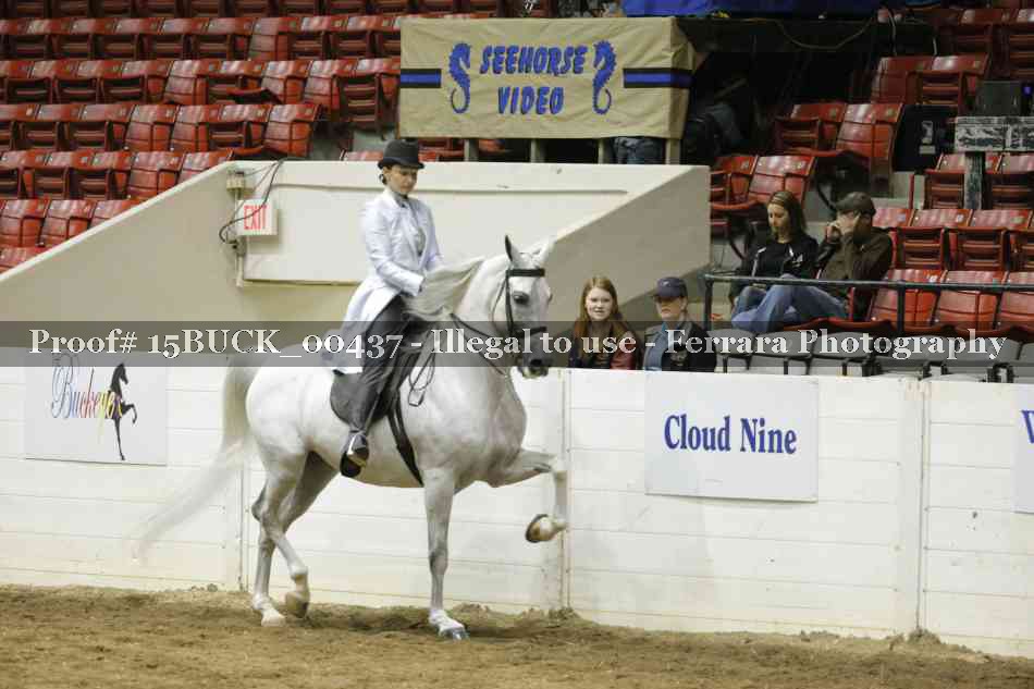 Proof 15BUCK_00437