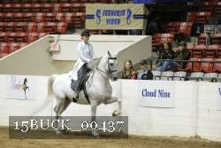 15BUCK_00437 proof