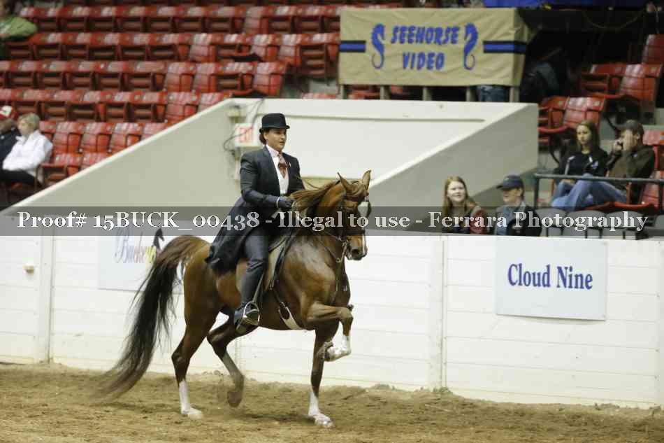 Proof 15BUCK_00438