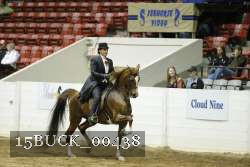 15BUCK_00438 proof