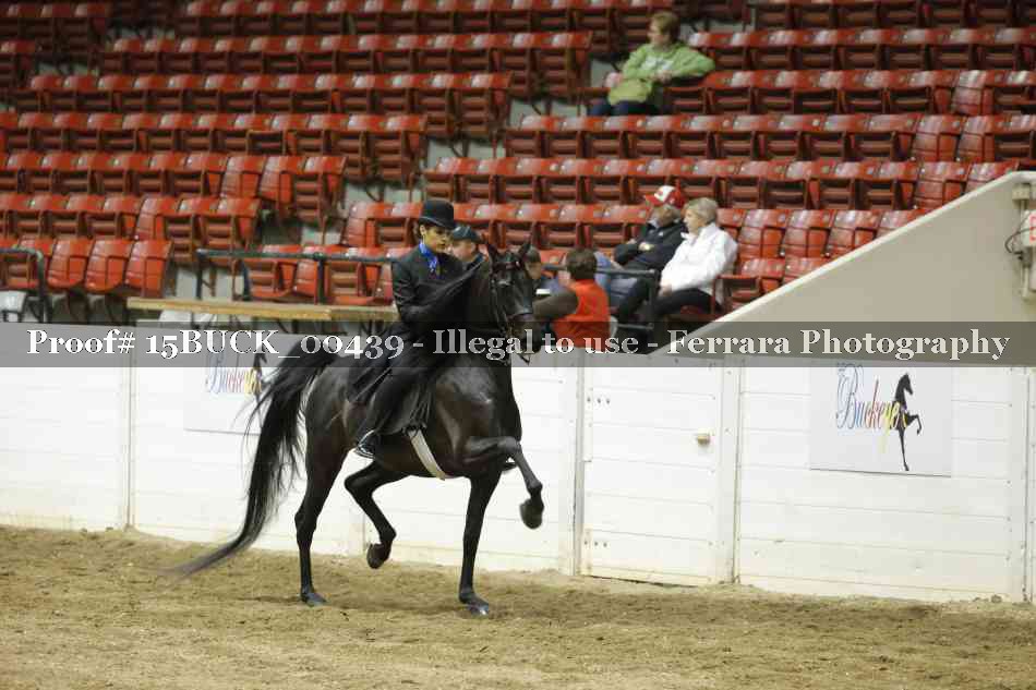 Proof 15BUCK_00439
