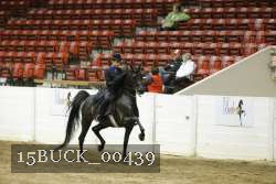 15BUCK_00439 proof