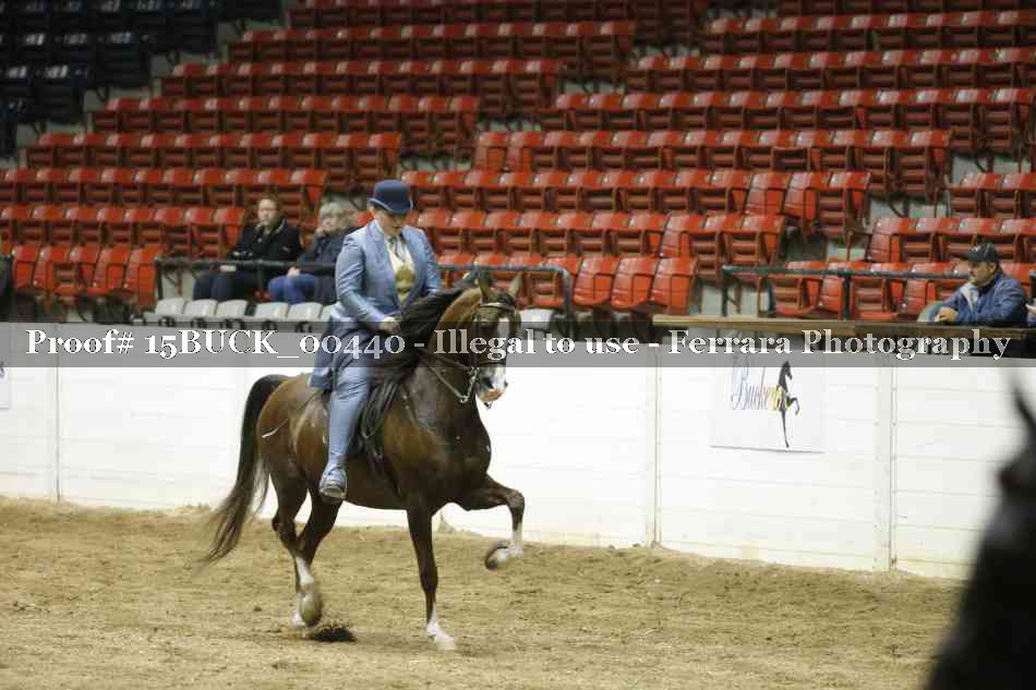 Proof 15BUCK_00440