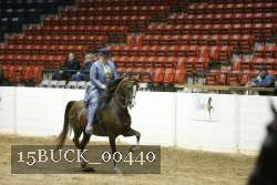 15BUCK_00440 proof