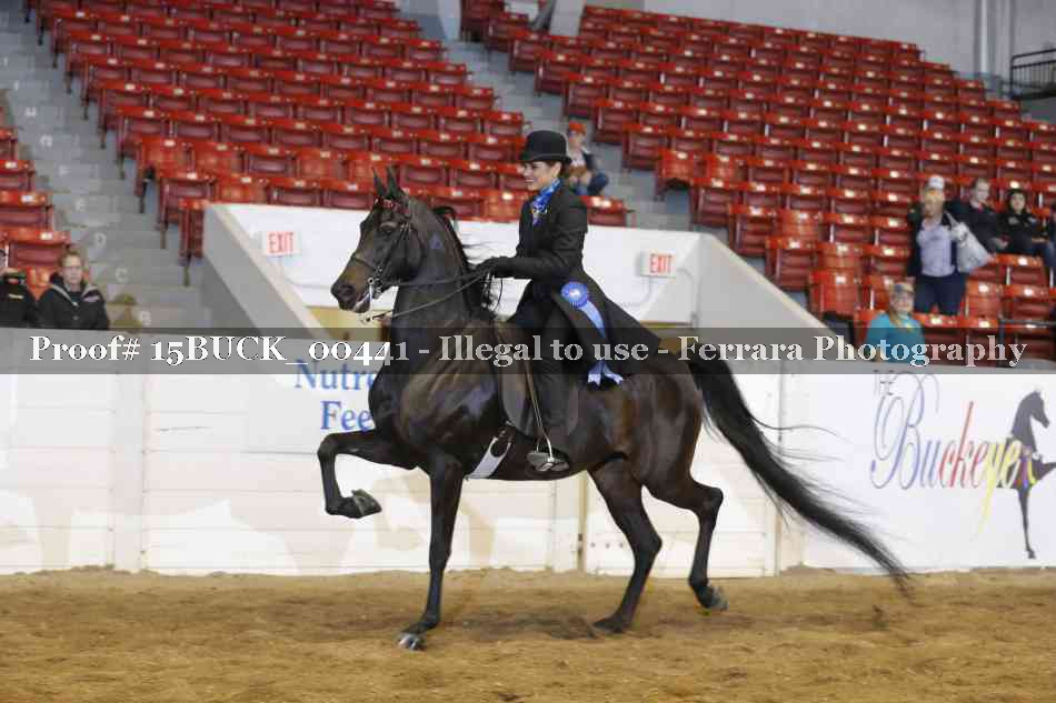 Proof 15BUCK_00441