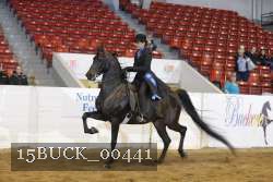 15BUCK_00441 proof