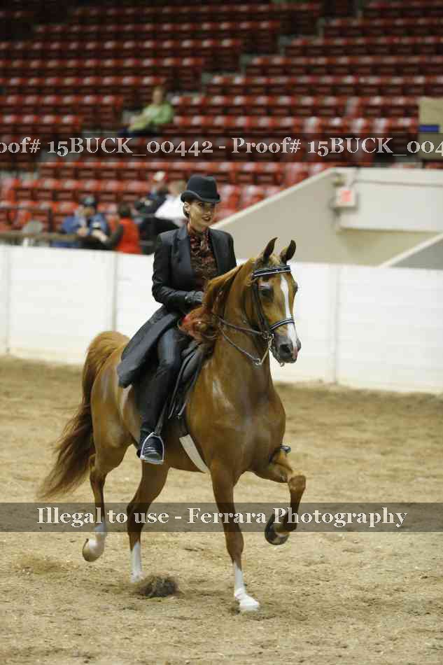 Proof 15BUCK_00442