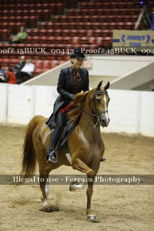 Proof 15BUCK_00443