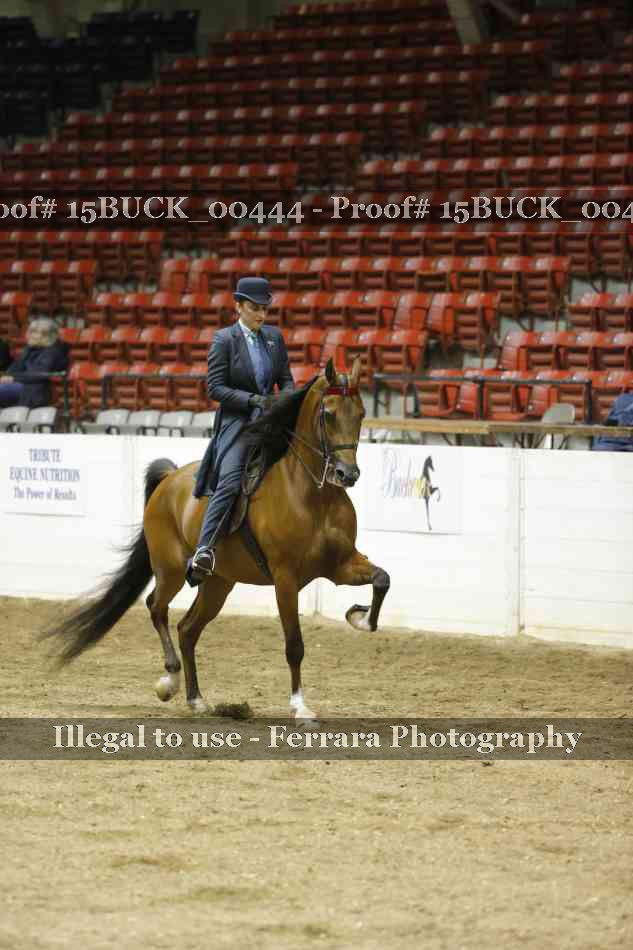 Proof 15BUCK_00444