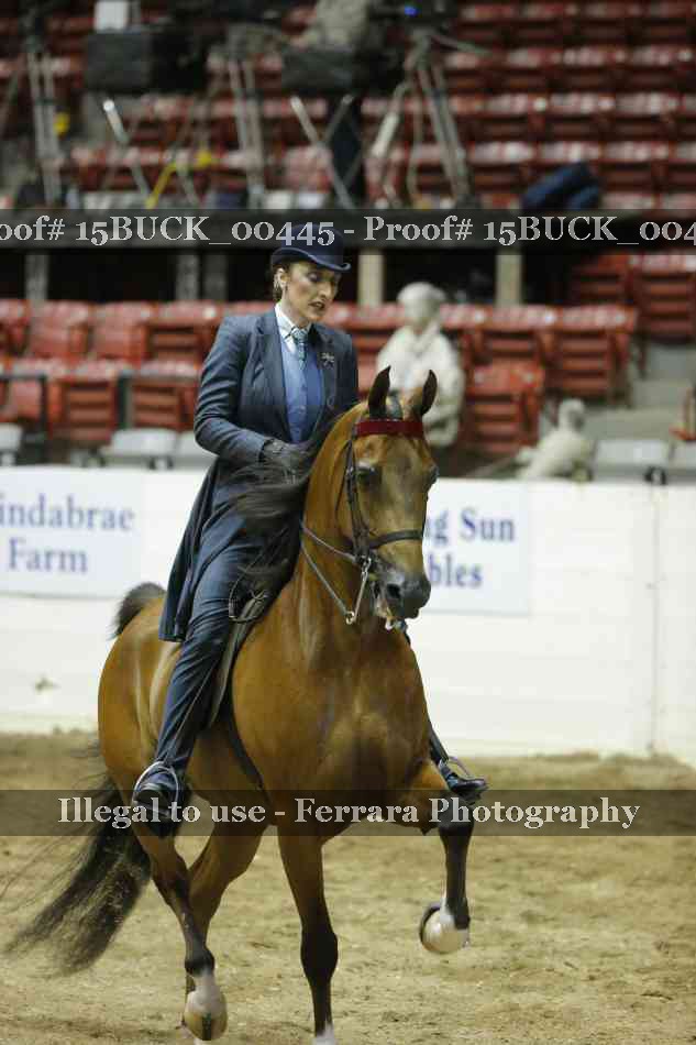 Proof 15BUCK_00445