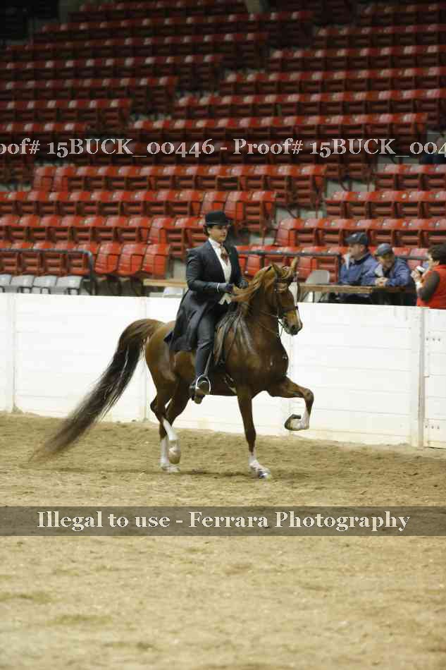 Proof 15BUCK_00446