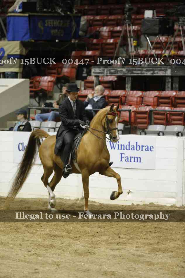 Proof 15BUCK_00447