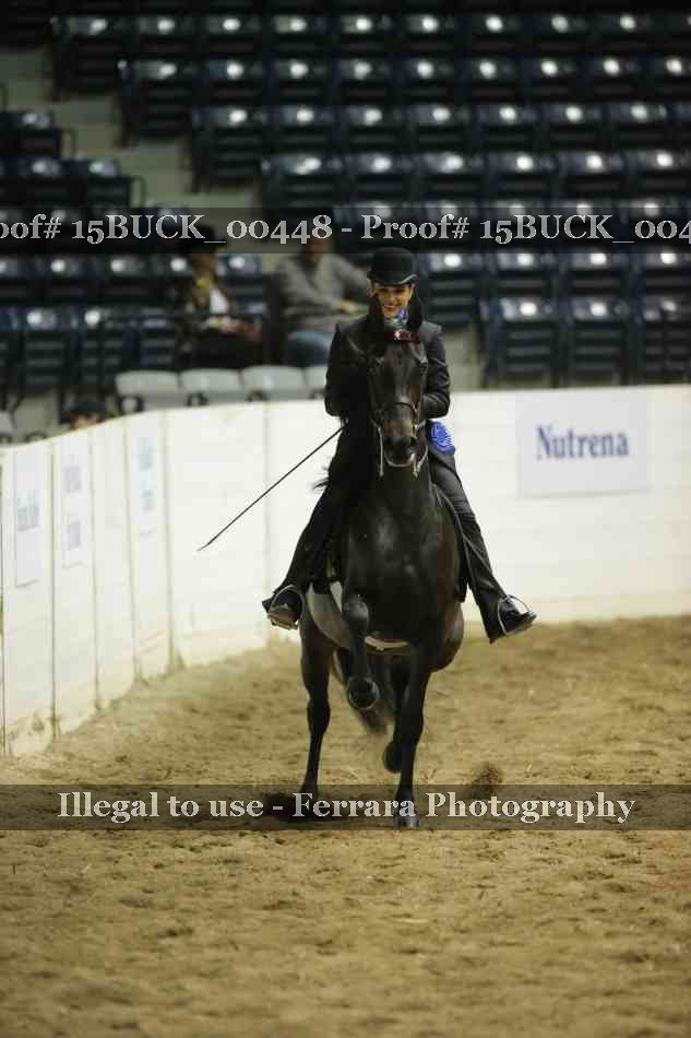 Proof 15BUCK_00448