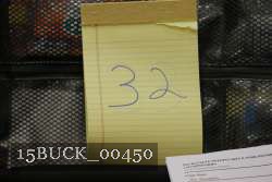 15BUCK_00450 proof
