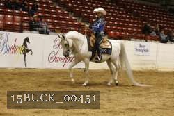 15BUCK_00451 proof