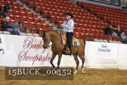 15BUCK_00452 proof