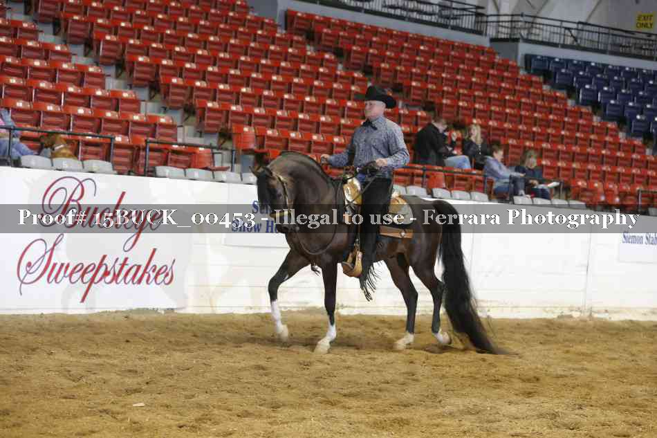 Proof 15BUCK_00453