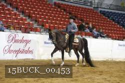 15BUCK_00453 proof