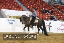 15BUCK_00454 proof