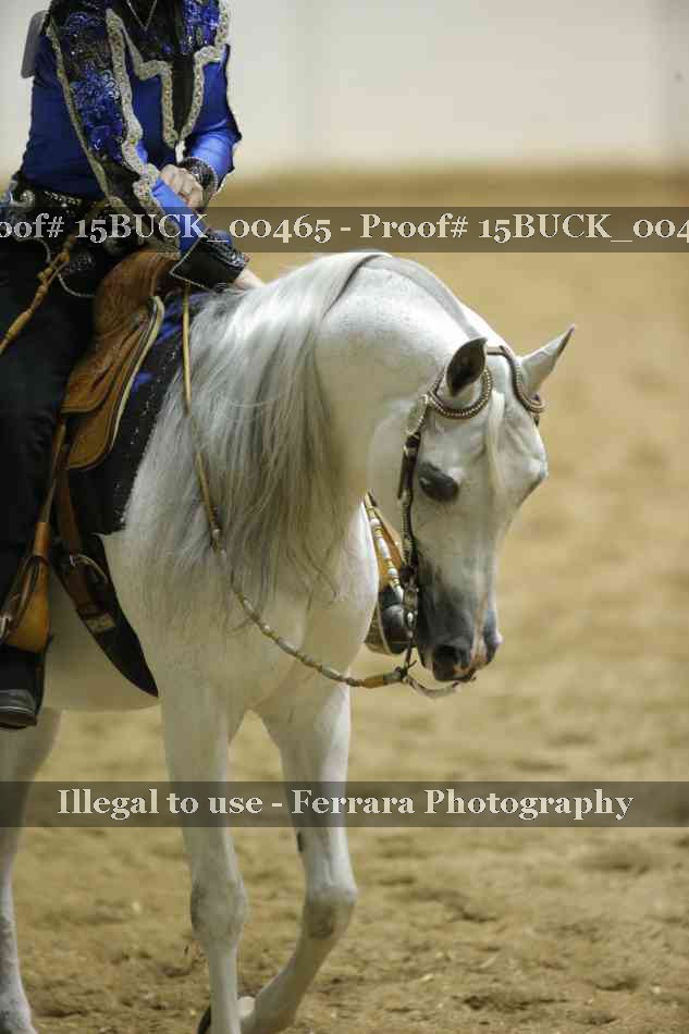Proof 15BUCK_00465