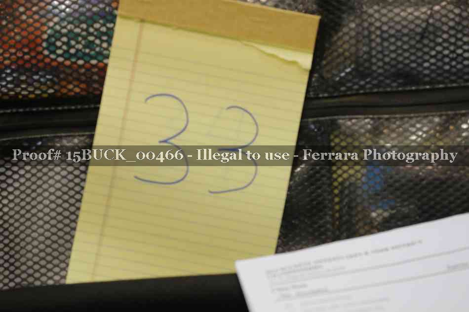Proof 15BUCK_00466