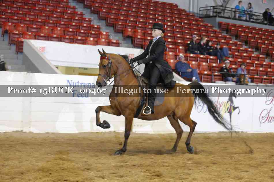Proof 15BUCK_00467