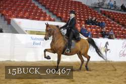 15BUCK_00467 proof