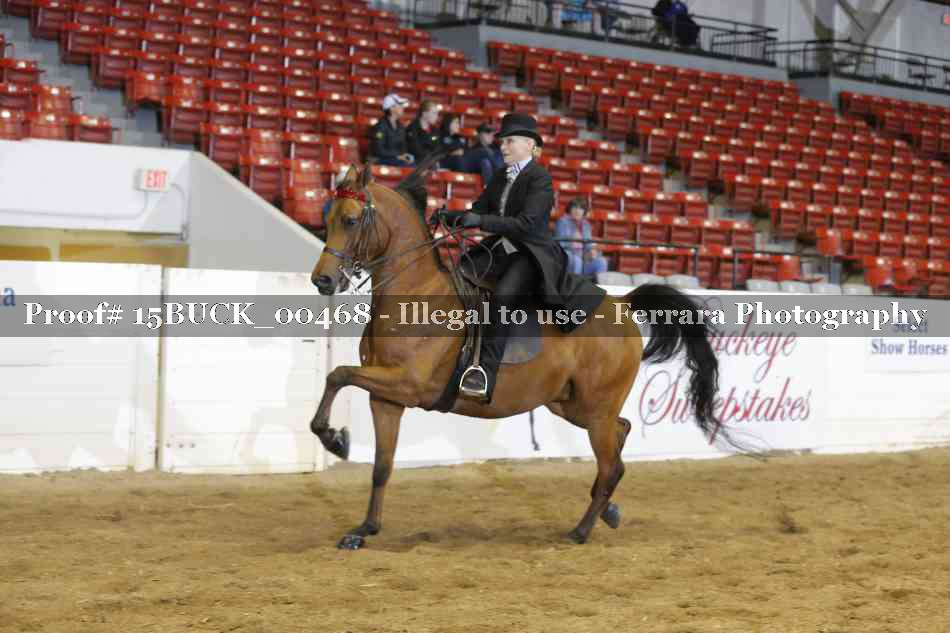 Proof 15BUCK_00468