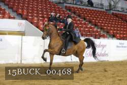 15BUCK_00468 proof