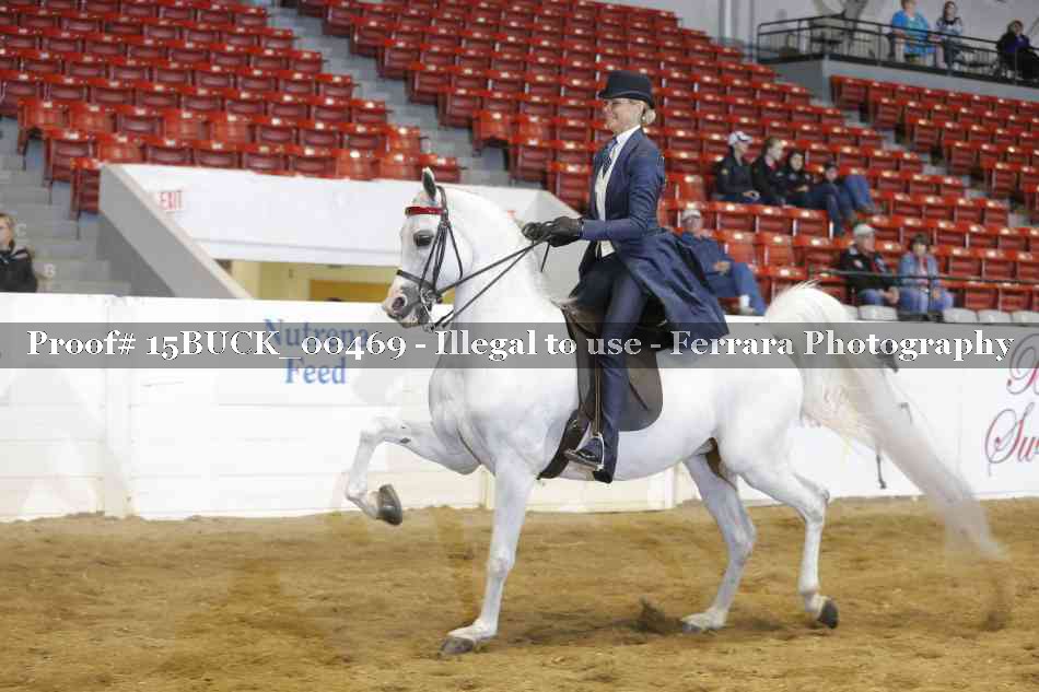 Proof 15BUCK_00469