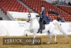 15BUCK_00469 proof
