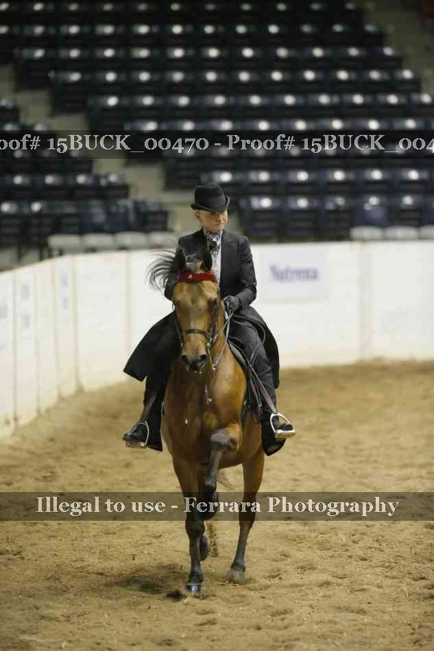 Proof 15BUCK_00470