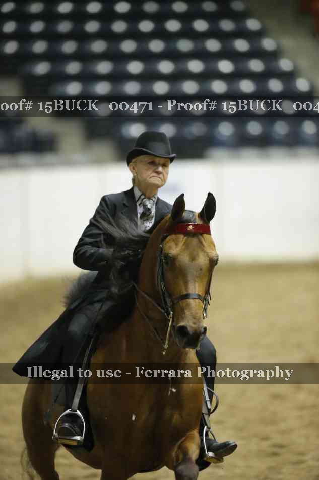 Proof 15BUCK_00471